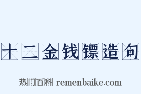 十二金钱镖造句是什么意思的图片